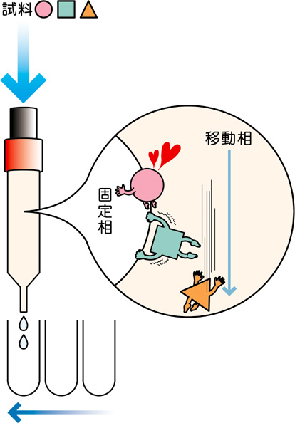 原理 グラフィー カラム クロマト カラムクロマトグラフィー｜研究用語辞典｜研究.net