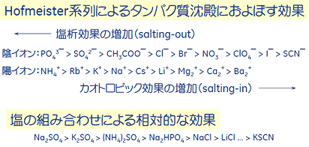 Hofmeister系列によるタンパク質沈殿に及ぼす効果と塩の組み合わせによる相対的な効果
