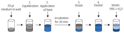 模式図：MAbフィード液によるPreDictor™プレートの反復処理を利用した担体の汚染