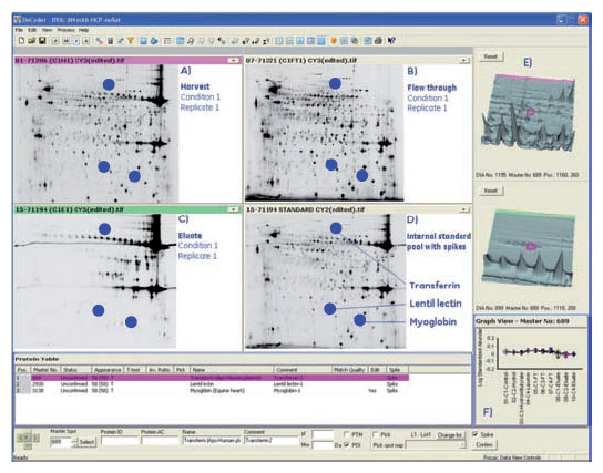 図4. MabSelect SuRe™精製ステップにおけるC1条件のスポットマップ 図4. MabSelect SuRe™精製ステップにおけるC1条件のスポットマップ