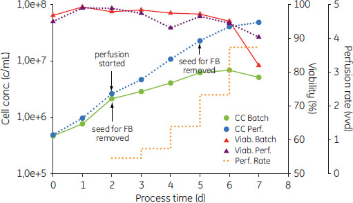 プロセス時間と細胞濃度、バイアビリティー、パーフュージョン率のグラフ