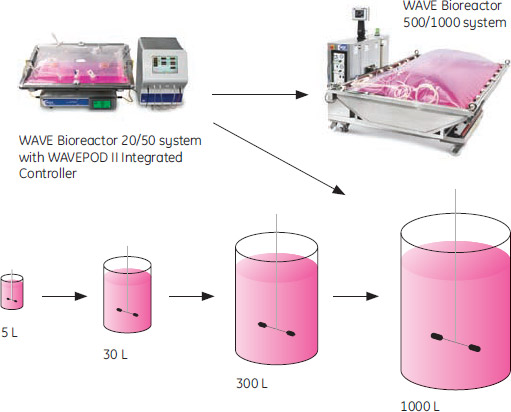 WAVE Bioreactor&trade;システムでシードトレインの展開ステップを省けることを示す図