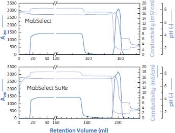 図1. MabSelect™およびMabSelect SuRe™の精製能は原則的に同等です。