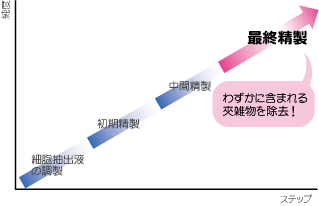 3段階精製ストラテジーイメージ