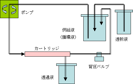 流路の模式図