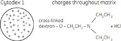 Cytodex™ 1 化学構造