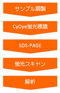 HyperPAGEの実験フロー
