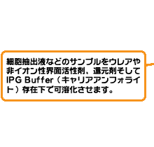 サンプル調製イメージ図