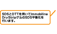 二次元電気泳動イメージ図