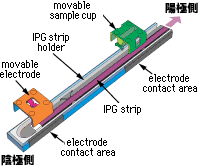 IPGphor™専用ストリップホルダー