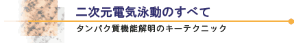 二次元電気泳動のすべて　タンパク質機能解明のキーテクニック