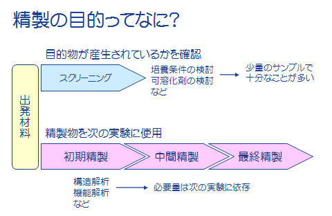 精製の目的