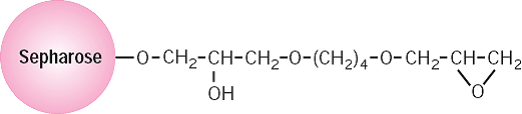 Epoxy-activated Sepharose™ 6Bの部分構造図