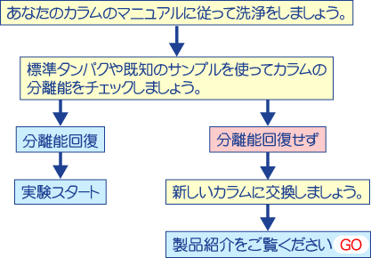 診断C ガイド