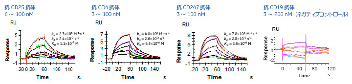 図2. 固定化細胞と抗体のカイネティクス解析結果