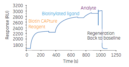 Biotin CAPture Kitのセンサーグラム