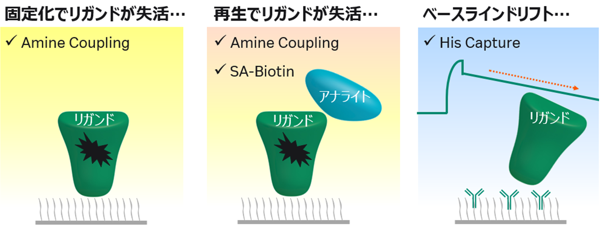 アッセイ系の最適化が難しい？