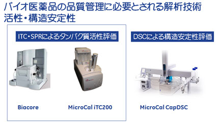 バイオ医薬品の品質管理に必要とされる解析技術