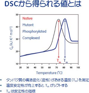 DSCから得られる値