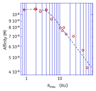 Rmaxに依存した抗原-抗体相互作用のアフィニティー変化