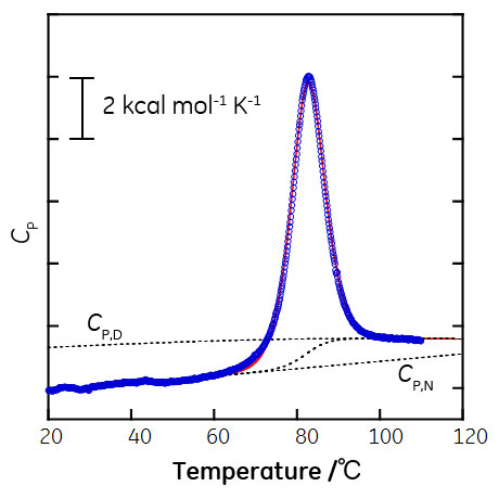 シトクローム溶液の熱容量の温度依存性