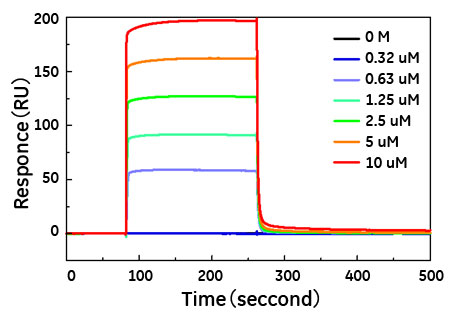 図2　A2ペプチドのIgAに対する結合センサーグラム