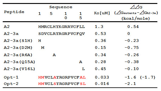 表3　親和性の上昇したA2-3aペプチド変異体