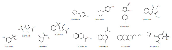 図1　標的タンパク質と化合物