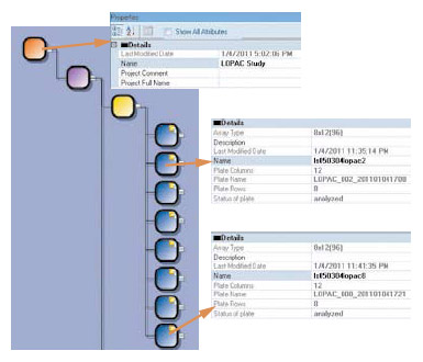 図2 IN Cell Analyzer画像と解析データの階層的管理