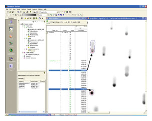 IN Cell Investigator Developer Toolbox コメット解析