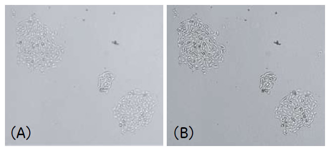 図3 撮影モードによる画像の違い