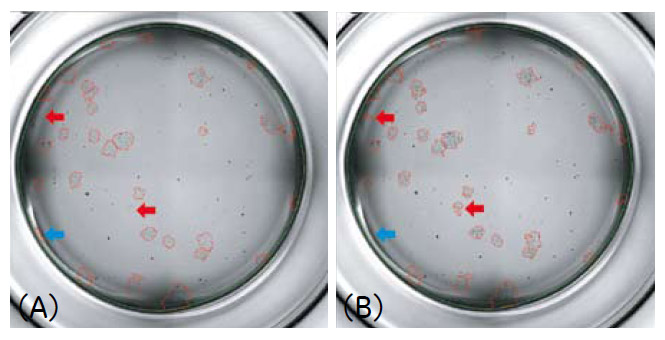 図5 撮影モードの違いによるコロニー認識の違い