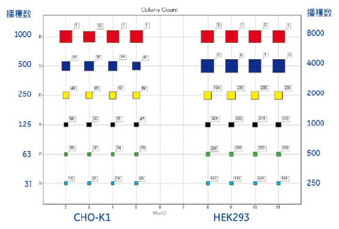 図6 培養4日目における細胞数およびコロニー数