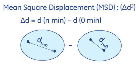 図5. Mean Square DisplacementによるXic-TetO領域の移動度算出