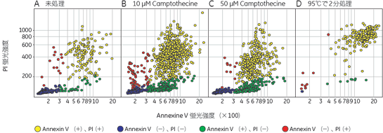 図4　Annexin V 初期アポトーシスアッセイ解析結果のドットプロット