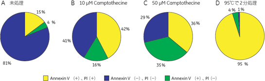 図5　Annexin V 初期アポトーシスアッセイ解析結果のPie Chart