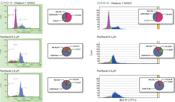 図2 Paclitaxel 処理後の細胞周期分布