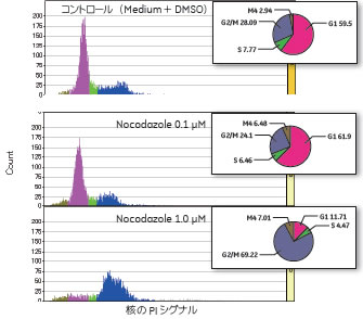 図3 Nocodazole 処理後の細胞周期分布