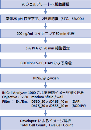 フローチャート