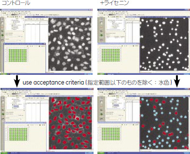 実験結果。Developerソフトウェアの画面