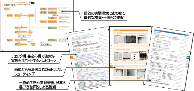 攻略ガイドポイント