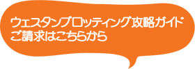 ウェスタンブロッティング攻略ガイドのご請求はこちらから