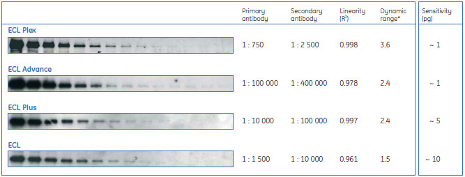 トランスフェリン検出におけるECL™シリーズによる検出感度の比較