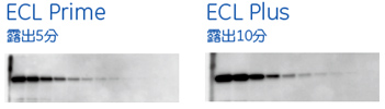 露出時間を半分にしたときの実験例