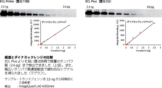 図：感度とダイナミックレンジの比較