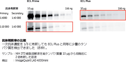 図：抗体希釈率の比較