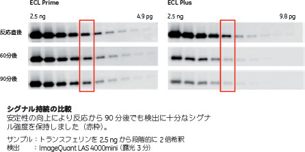 図:シグナル持続の比較