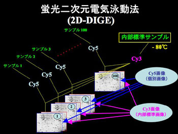 図2