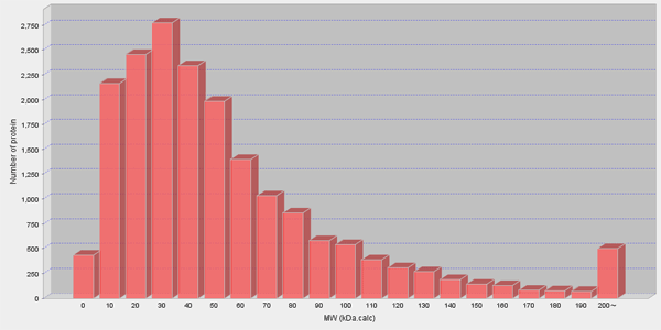 タンパク質の大きさと頻度の関係のグラフ