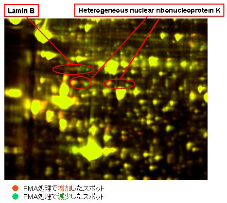 パネル画像データ1